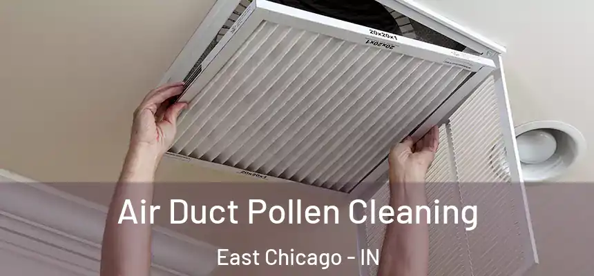  Air Duct Pollen Cleaning East Chicago - IN