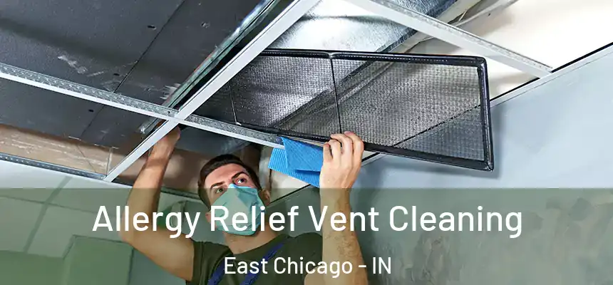  Allergy Relief Vent Cleaning East Chicago - IN