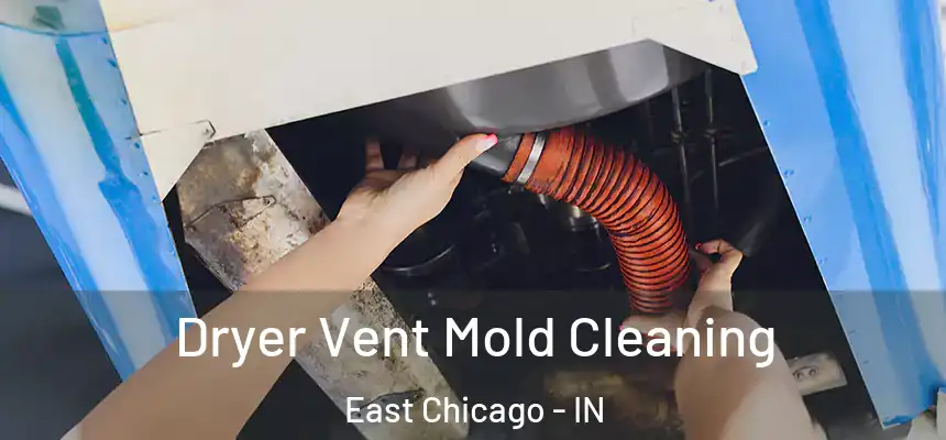 Dryer Vent Mold Cleaning East Chicago - IN
