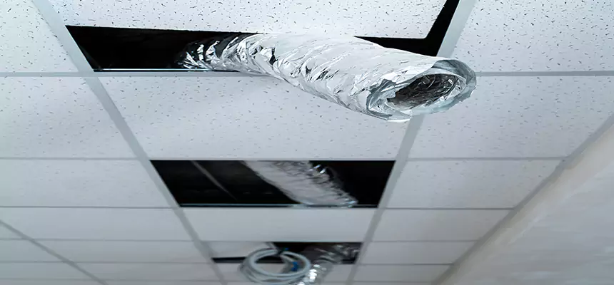 Affordable HVAC Sanitizing After Pest Removal in East Chicago