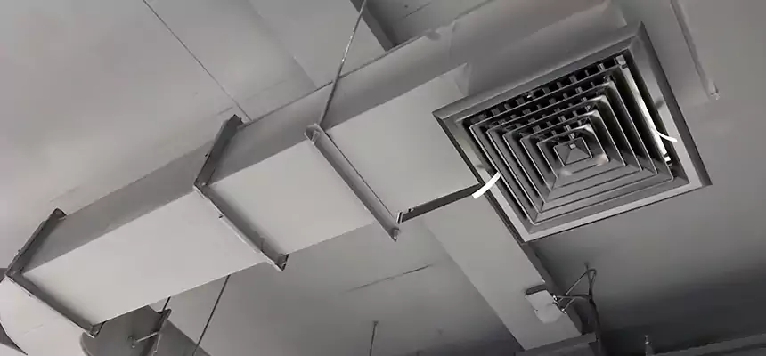 Restorative Allergy Relief Vent Cleaning – Coil, Blower & Housing Detail in East Chicago