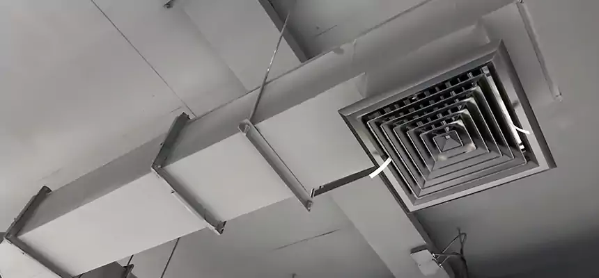 Our Rodent Droppings In Vents Services in East Chicago, IN