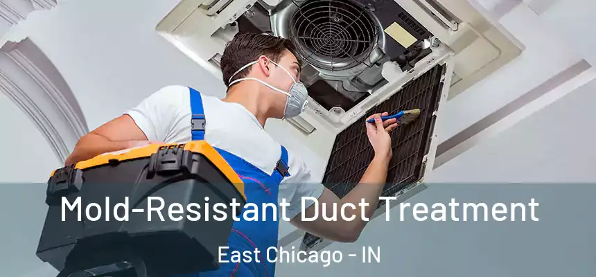  Mold-Resistant Duct Treatment East Chicago - IN