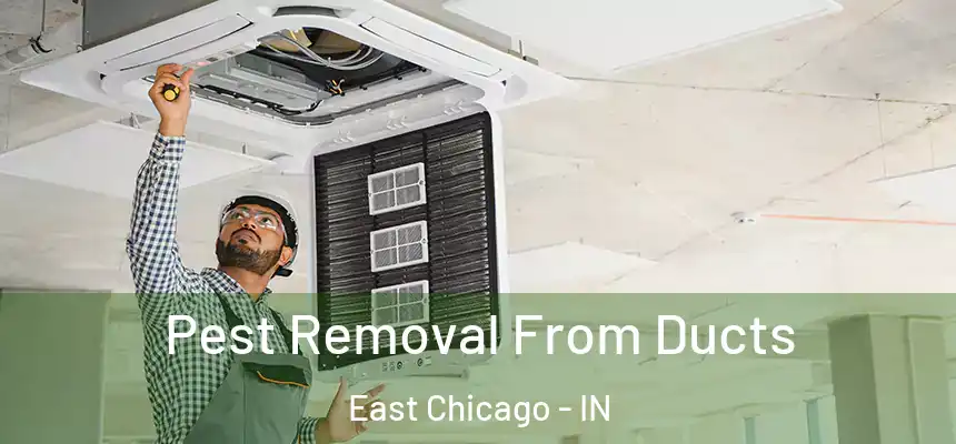  Pest Removal From Ducts East Chicago - IN