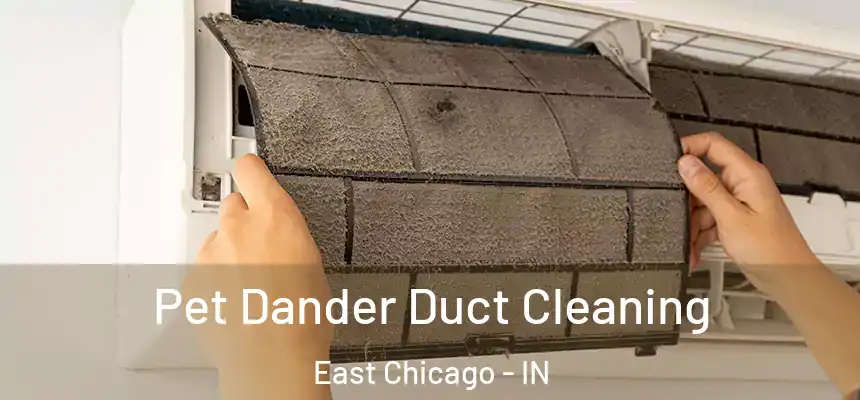  Pet Dander Duct Cleaning East Chicago - IN