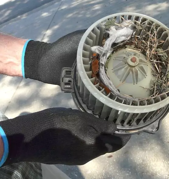 About Air Duct Mice Removal in East Chicago, IN