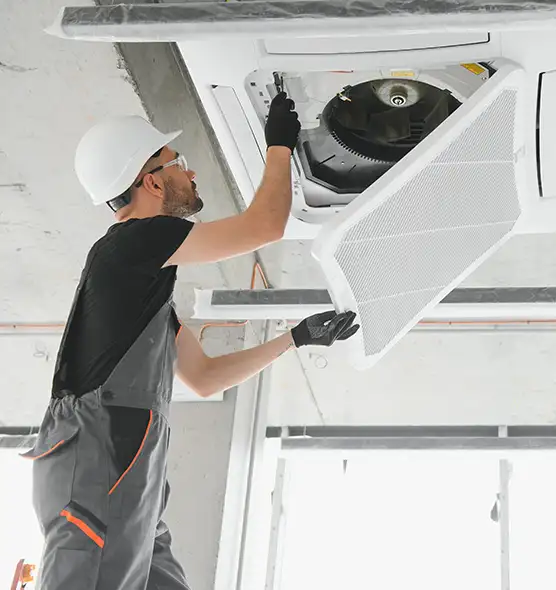 About Air Duct Rodent Removal in East Chicago, IN