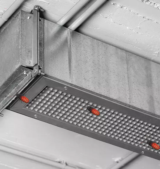 Affordable Insect Removal from Air Ducts in East Chicago, IN