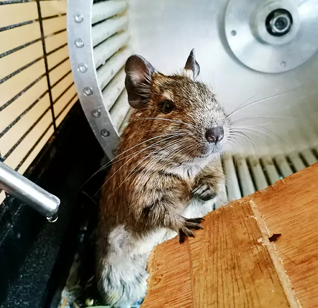 Why Homeowners & Businesses Trust Us East Chicago, IN