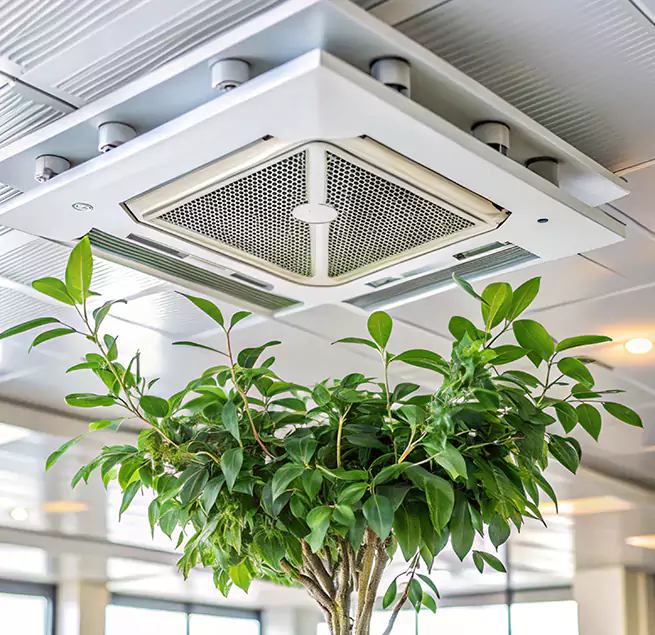 Why Homeowners & Businesses Trust Us in East Chicago, IN?