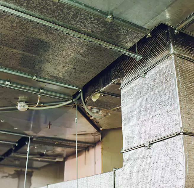 Why Homeowners & Businesses Trust Us in East Chicago, IN?